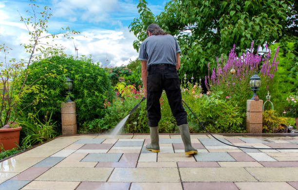 Best Driveway Pressure Washing  in Apple Valley, OH
